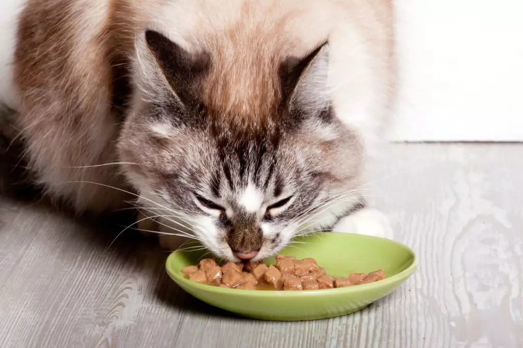 Purina Cat Chow for steriliserte katter: Sterilisert fôroversikt for kastrerte katter, deres sammensetning. Tørr fôr 15 kg og våt, vurderinger 22119_15