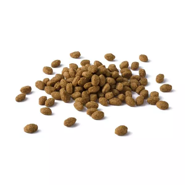 Purina cat Chow do chait sterilized: forbhreathnú beatha steiriliú le haghaidh cait caol, a gcomhdhéanamh. Beatha Tirim 15 kg agus fliuch, athbhreithnithe 22119_3