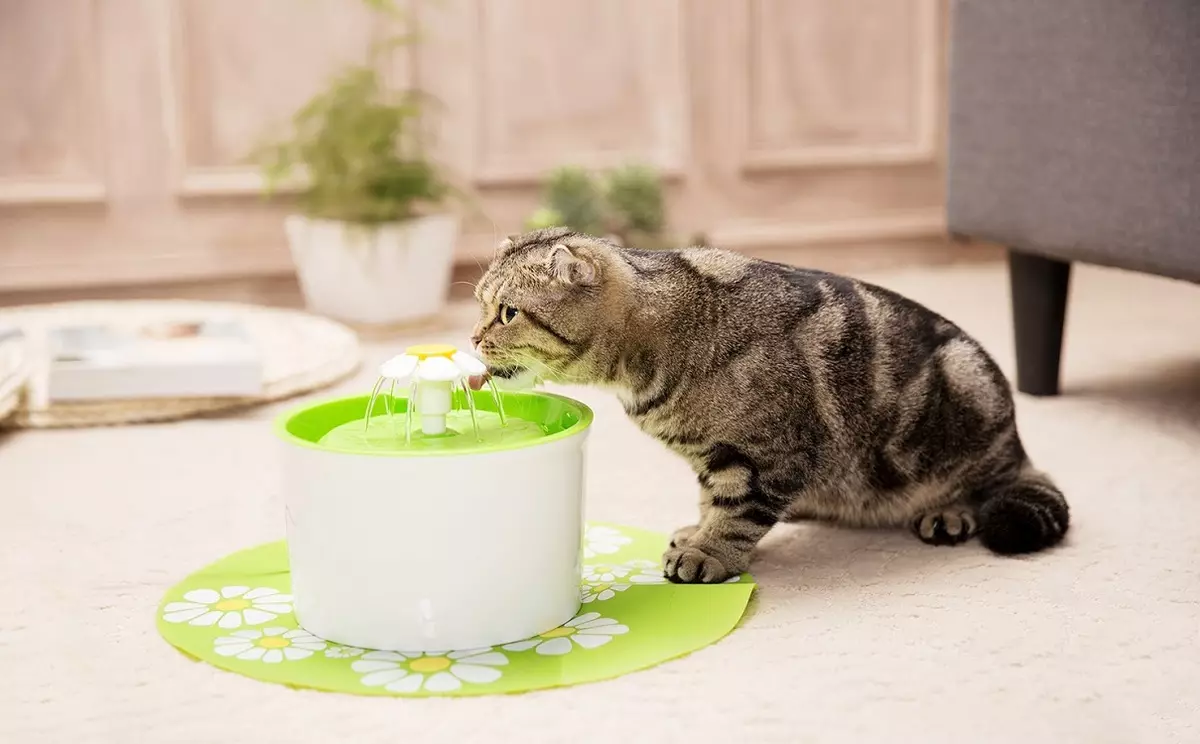 Purina Pro Plan for steriliserede katte: Tørret steriliseret foder til kastrerede katte og vådt, deres sammensætning. Feed til 3-10 kg, anmeldelser 22125_28