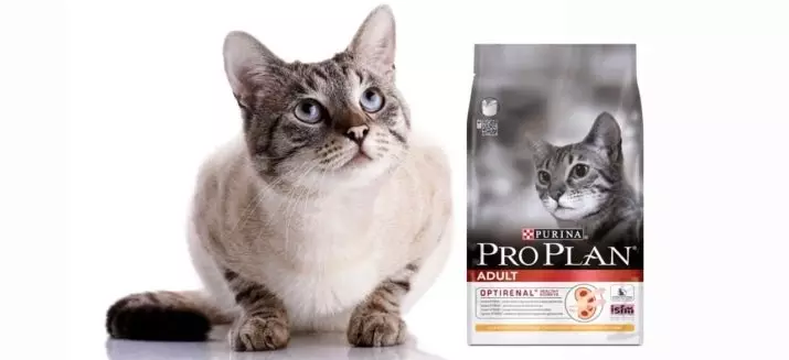 Purina Pro Plan Cat Feed (64 ảnh): Thành phần của thức ăn cho mèo với Probiotic và các thành phần khác, lớp thức ăn cho mèo. Sản phẩm lỏng và khô. Đánh giá 22127_34