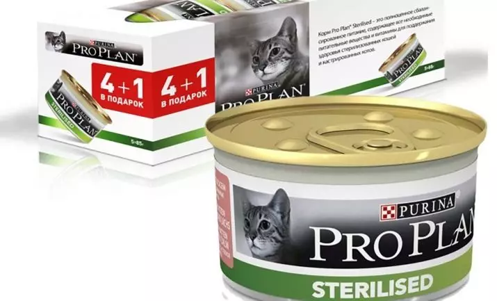 Purina Pro Plan Cat Feed (64 fotók): A macska takarmányok összetétele probiotikus és másokkal, a takarmányozási osztály a macskák számára. Folyékony és száraz termékek. Vélemény 22127_55
