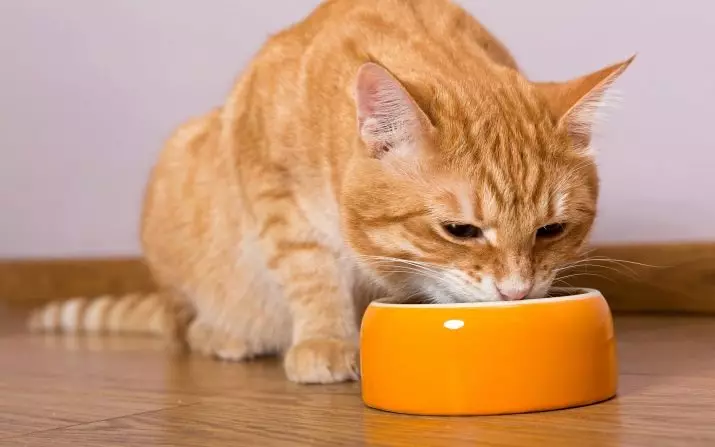 Purina Pro Plan Cat Feed (64 fotos): A composición do gato alimenta con probióticos e outros, a clase de alimentación para os gatos. Produtos líquidos e secos. Comentarios 22127_62