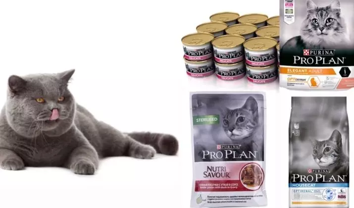 Purina Pro Plan Cat Feed (64 fotók): A macska takarmányok összetétele probiotikus és másokkal, a takarmányozási osztály a macskák számára. Folyékony és száraz termékek. Vélemény 22127_64