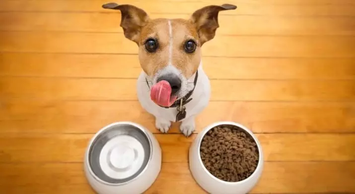 Sirius Dog Feed: องค์ประกอบ อาหารแห้งสำหรับลูกสุนัขสำหรับสุนัขขนาดเล็กและใหญ่ 