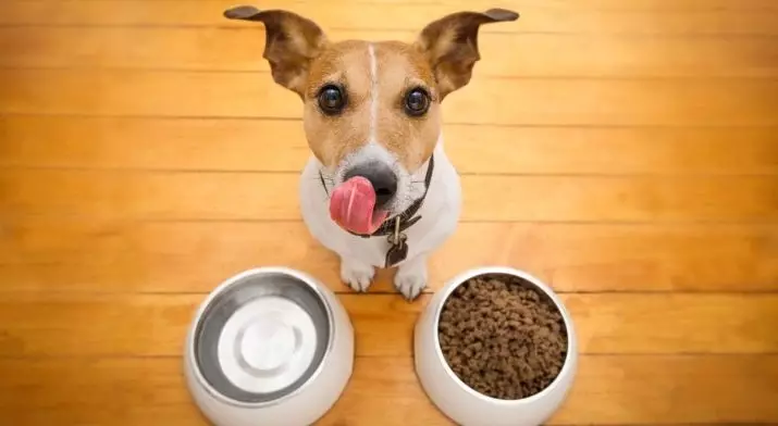 Sirius Dog Feed: კომპოზიცია. მშრალი საკვები ლეკვები, ძაღლების პატარა და დიდი ჯიშების. 