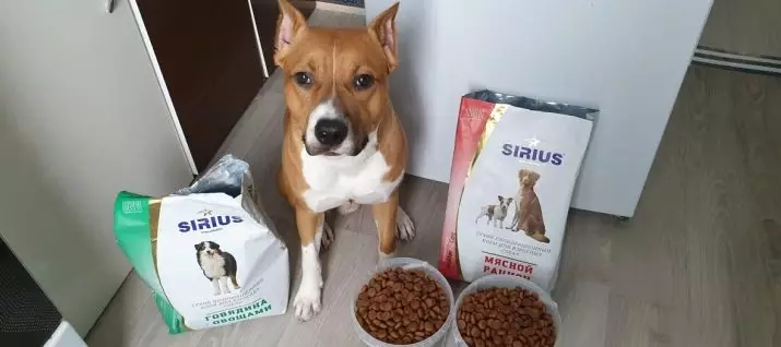 סיריוס כלב להאכיל: הרכב. להאכיל יבש עבור גורים, לכלבים של גזעים קטנים וגדולים. 