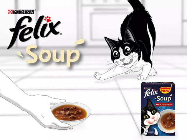 Mokre jedzenie dla kotów Felix: Skład płynnych pasz dla kotów, opisu ogólnego i różnorodności asortymentu. Opinie 22138_6
