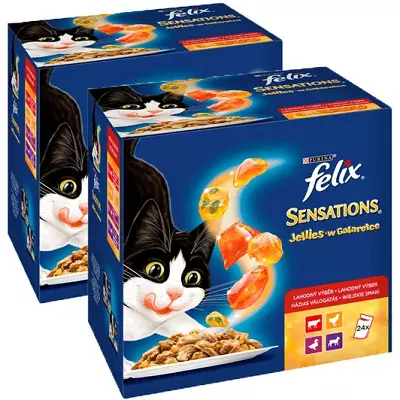 Mokre jedzenie dla kotów Felix: Skład płynnych pasz dla kotów, opisu ogólnego i różnorodności asortymentu. Opinie 22138_9
