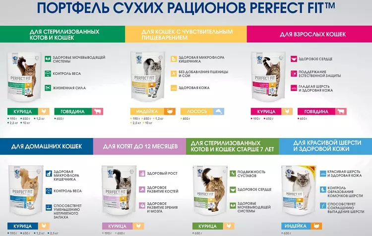 完美契合貓飼料（37張）：養貓飼料和組成。牛肉和土耳其的自製貓的好飼料，其他產品。評論 22140_11
