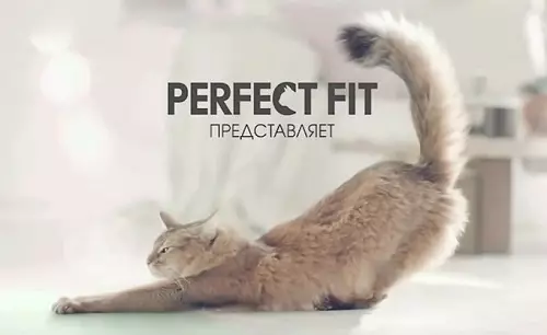 Perfect Fit Cat Feed (37 foto's): Klas van kattevoeding en samestelling. Goeie voer vir tuisgemaakte katte met beesvleis en kalkoen, ander produkte. Resensies 22140_14