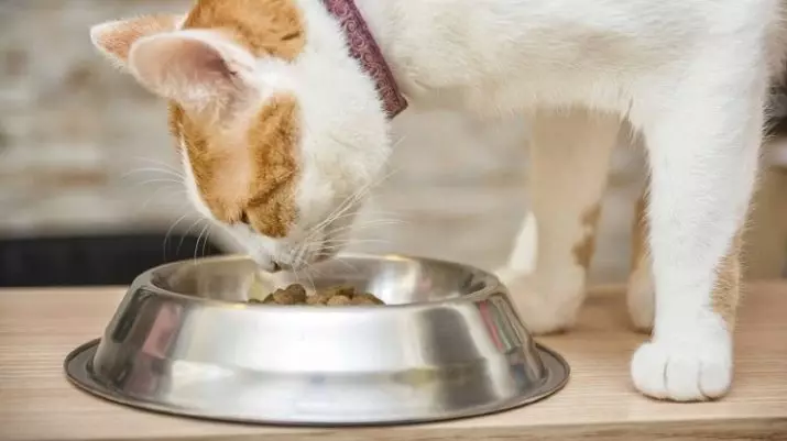 PERFECT FIT cat feed (37 fotos): Class fan feline feed en komposysje. Goede feed foar selsmakke katten mei fleis en turkije, oare produkten. Resinsjes fan beoordelingen 22140_18
