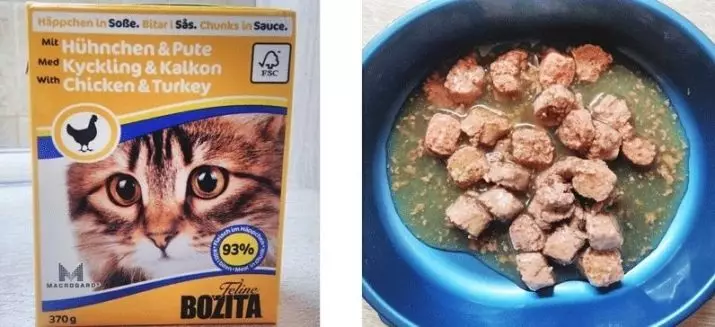 Katse ea Cats Bozita: o kolobelitsoe le ho omella le likatse tse sitisitsoeng le li-kittens, sebopeho sa canned le katse e meng e jang. Tlhahlobo 22142_25