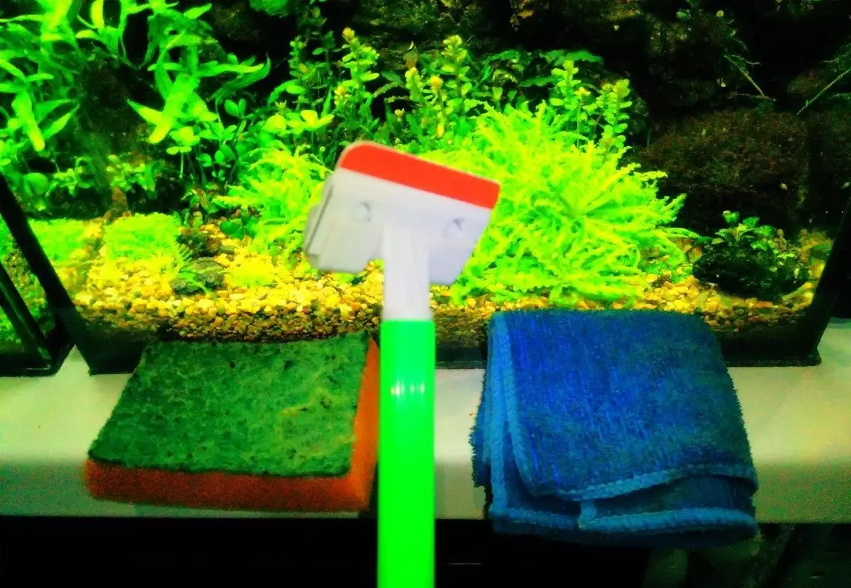 Green Algae in the Aquarium (21 foto): Bagaimana cara menangani serangan di dinding dan di atas batu? Bagaimana cara membersihkan gelas? 22150_11