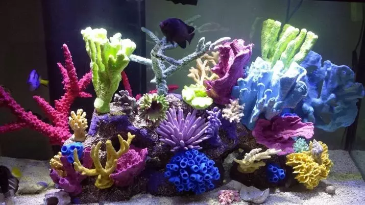 Коралҳо барои Aquarerium (23 суратх): Амалҳои зинда ва сунъӣ, вариантҳо барои ороиш додани аквариум бо дасти худ 22171_17