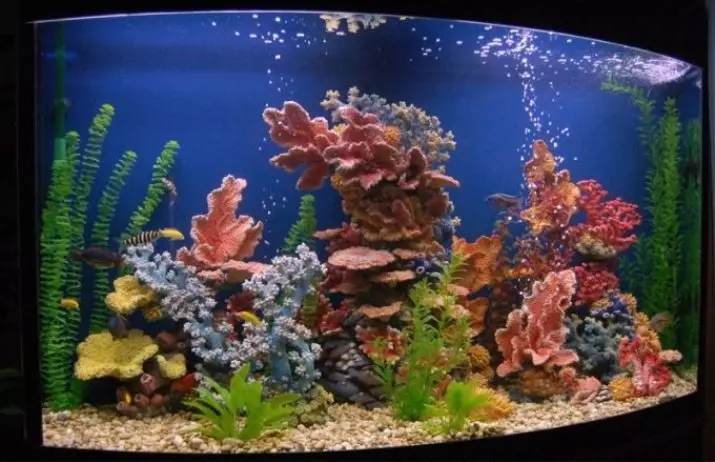 Corals pentru acvariu (23 fotografii): Coraluri live și artificiale, Opțiuni pentru decorarea acvariului cu propriile mâini 22171_22