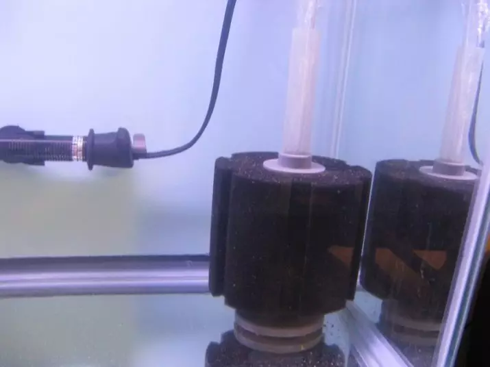 Aerlift филтър за аквариум (14 снимки): как да се направи аеро филтър със собствените си ръце? Принципът на erlifed филтъра 22188_7