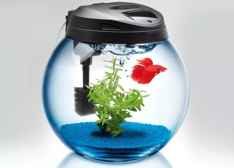 Filtre pou yon Aquarium wonn (19 foto): seleksyon nan filtre pou aquarium 5, 10, 20 l ak ekleraj. Ki jan yo enstale ak sekirite filtre a? 22189_17