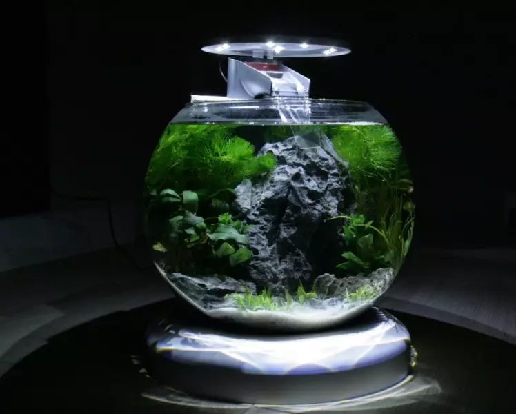 Filter pre okrúhle akvárium (19 fotiek): Výber filtra pre akvárium 5, 10, 20 l s podsvietením. Ako nainštalovať a zaistiť filter? 22189_2