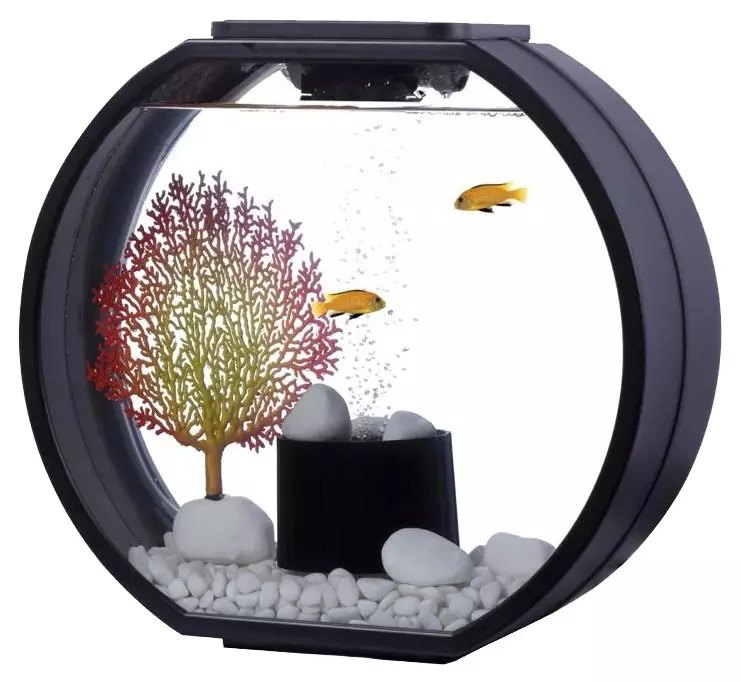 Filtras apvalus akvariumas (19 nuotraukų): 5, 10, 20 l akvariumų filtro pasirinkimas su apšvietimu. Kaip įdiegti ir užtikrinti filtrą? 22189_3