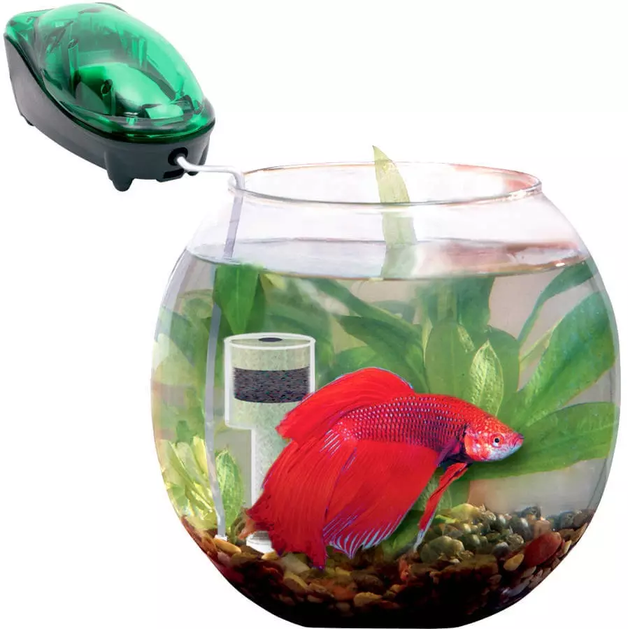 Филтрирај за кружен аквариум (19 фотографии): избор на филтер за аквариуми 5, 10, 20 l со задно осветлување. Како да го инсталирате и обезбедите филтерот? 22189_7