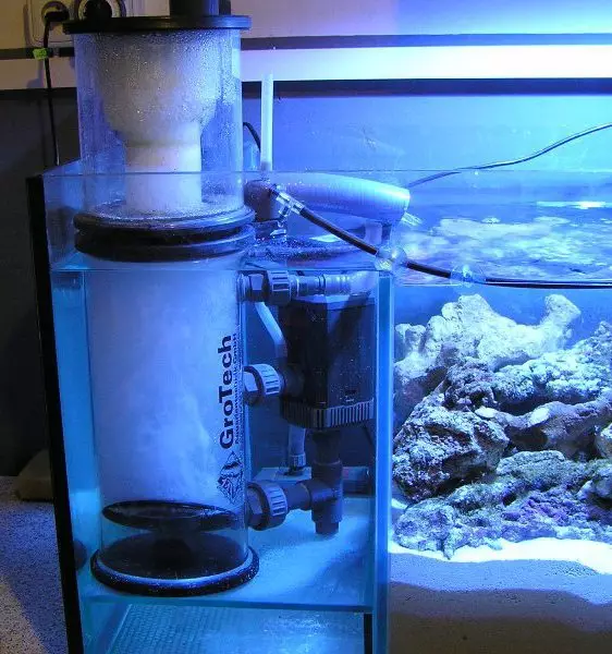 Kako instalirati filtar u akvarij? 19 fotografija Kako prikupiti i staviti filtar u akvarij s ribom? Gdje bi trebao postojati akvarij vodeni filtar? Koju dubinu niže? 22193_11