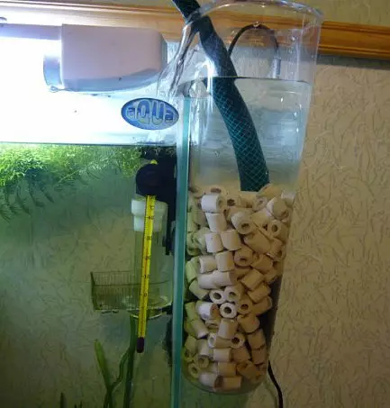 Kako instalirati filtar u akvarij? 19 fotografija Kako prikupiti i staviti filtar u akvarij s ribom? Gdje bi trebao postojati akvarij vodeni filtar? Koju dubinu niže? 22193_15