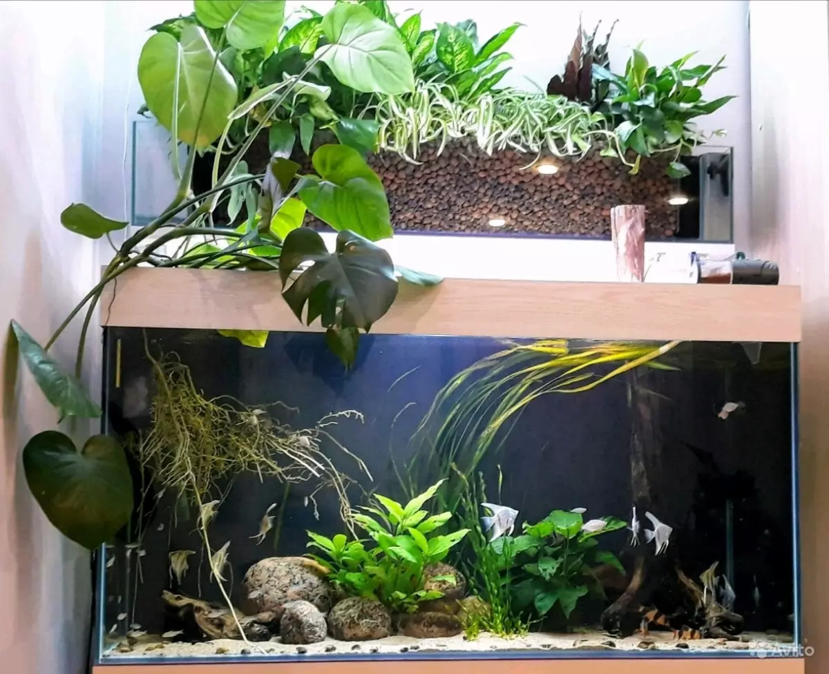 How to install a filter into aquarium? 19 photos How to collect and put a filter into aquarium with fish? Where should aquarium water filter stand? What depth to lower? 22193_16