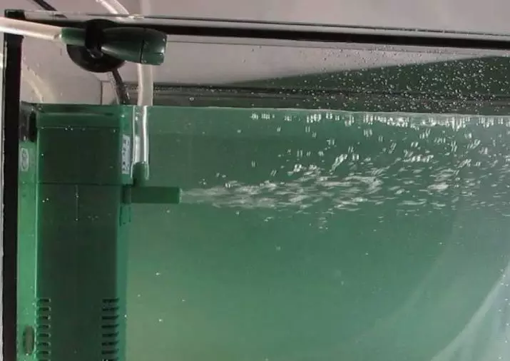 Akvaryuma bir filtre nasıl kurulur? 19 Fotoğraf nasıl toplanır ve balığın akvaryumuna bir filtre koyulur? Akvaryum su filtresi nerede durmalıdır? Ne kadar derin? 22193_5