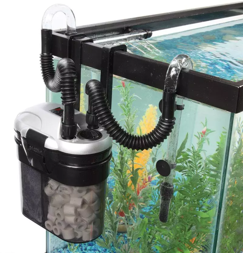 Како да инсталирате филтер во аквариум? 19 слики Како да се соберат и става филтер во аквариум со риба? Каде треба да стои филтер за вода во аквариум? Што длабочина да се намали? 22193_8