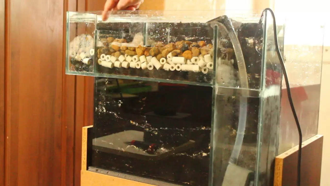 Biofilter az akváriumhoz (17 fénykép): Biológiai szűrők jellemzői vízhez, belső és külső eszközökhöz 22199_2