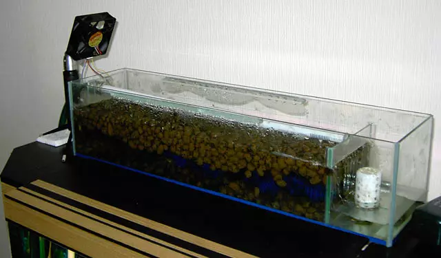 Biofilter az akváriumhoz (17 fénykép): Biológiai szűrők jellemzői vízhez, belső és külső eszközökhöz 22199_7