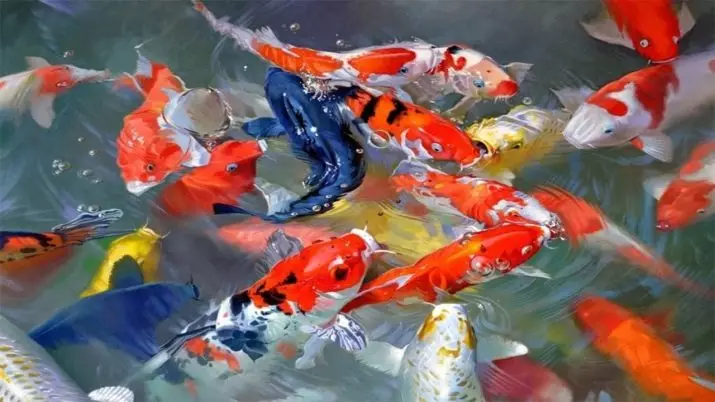 Koi (15 լուսանկար). Ձկան բովանդակություն Ակվարիումում: Ինչ կերակրել ճապոնական ակվարիումի բրոկադային կարպին: Հայելի ձուկ եւ այլ սորտեր 22277_2