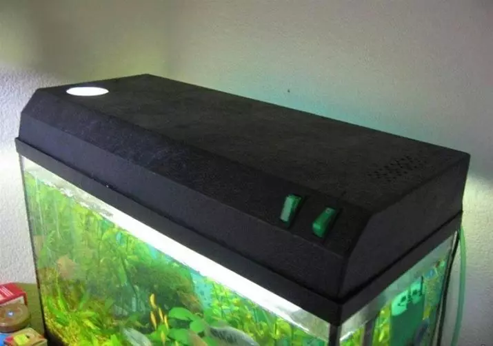 THELERY SISÄLTÖ (12 Valokuvat): Yksinkertainen, väri ja fluoresoiva akvaario kala kotona, vaadittu lämpötila 22347_3