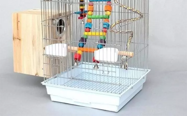 Dalgalı papağanlar için yuva (34 fotoğraf): Evde kendi ellerinizle bir yuva lodge nasıl yapılır? Yuva ne zaman ve hangi boyutta olmalı? 22361_32