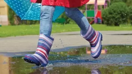 橡膠靴DEMAR（67張照片）：關於兒童鞋，帶絕緣型號的評論 2236_7