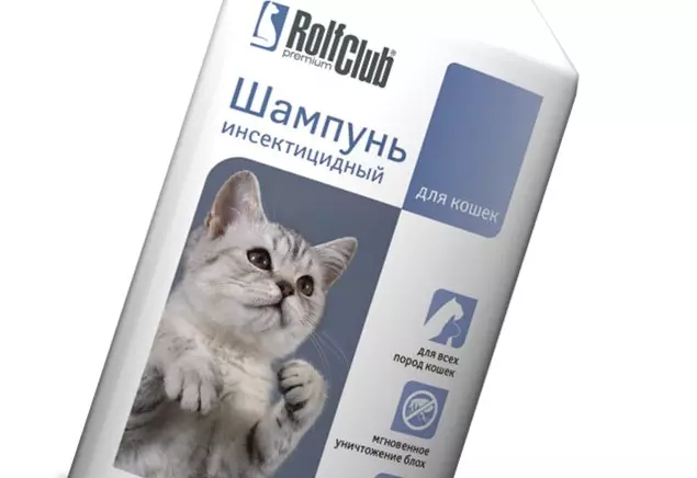 Забелязани котки (47 снимки): описание на котето на леопард и други породи домашни котки от петнал цвят 22398_36