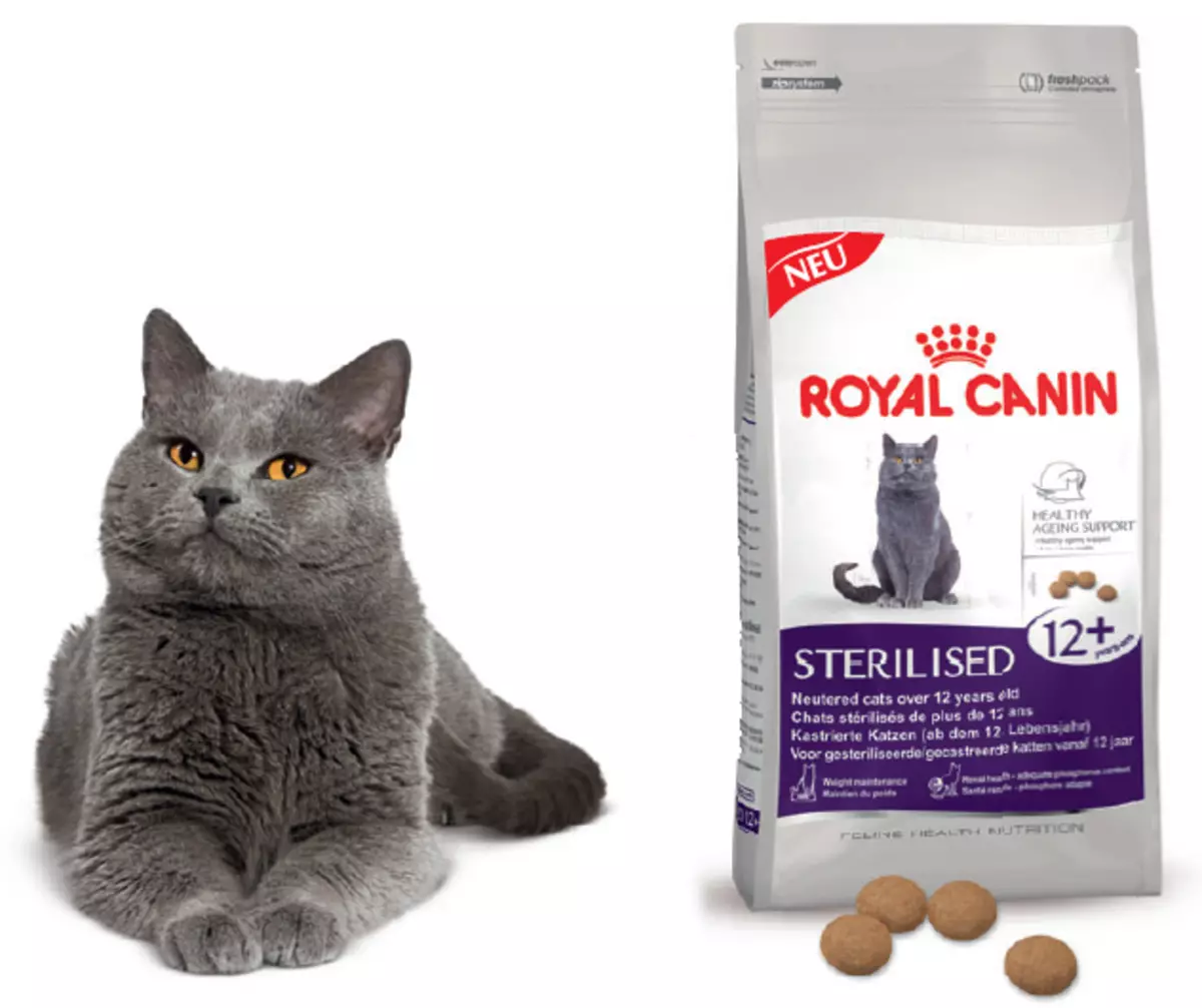 Какой корм для стерилизованного кота лучший. Роял Канин типы корма кошки. Роял Канин для британцев стерилизованных. Корм для кошек Роял Канин для котов.