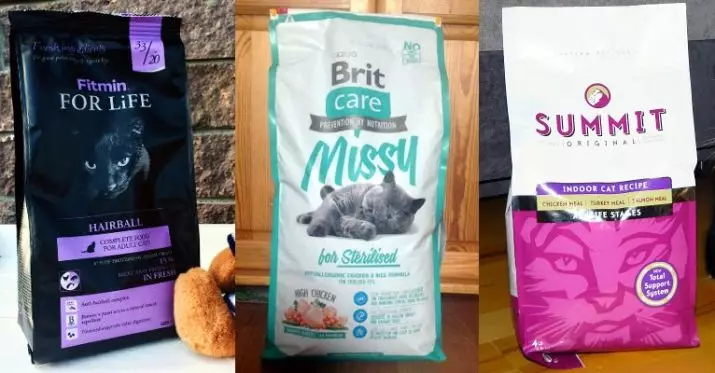 Cosa nutrire i gatti scozzesi? È possibile dare il latte di un gatto per 2 mesi? Regole del cibo per gatti adulti a casa 22425_2