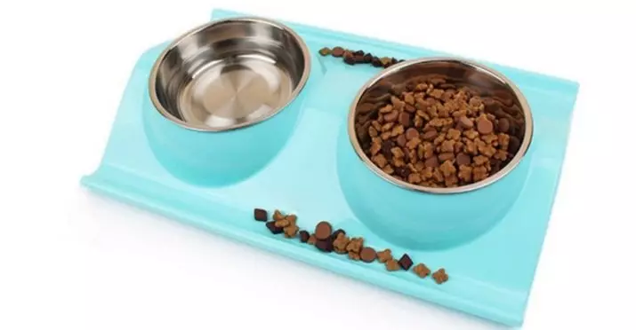 Ce să hrănești pisicile de pliere scoțiane? Reguli de putere pisică și pisică acasă. Este posibil să le dați lapte? 22434_14