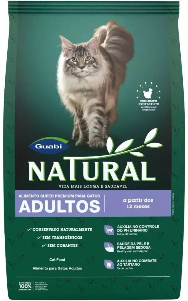 Nutrition Abyssinian Kucing: Bagaimana saya bisa memberi makan kucing dan kucing dewasa? Helai apa yang bisa diberikan? Fitur nutrisi alami 22484_20