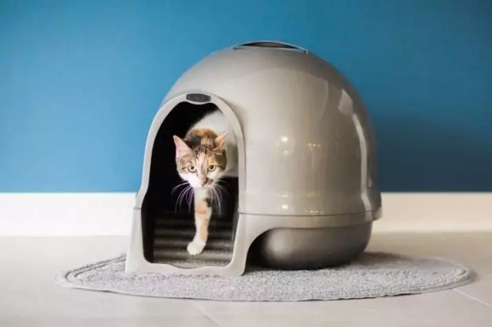 توالت بسته برای گربه ها (21 عکس) چگونه در انتخاب یک گربه سینی-خانه بزرگ با یک فیلتر زغال سنگ برای یک گربه؟ بررسی مالکیت 22587_15