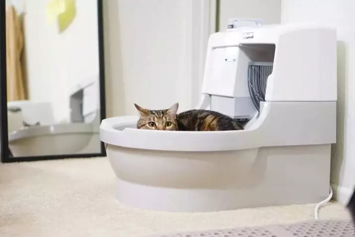 Sebuah tandas tertutup untuk kucing (21 foto): Bagaimana untuk memilih rumah dulang kucing besar dengan penapis arang batu untuk kucing? Ulasan Pemilikan 22587_19