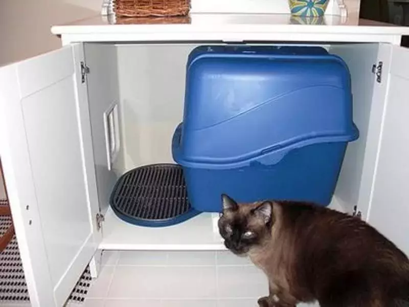 Sebuah tandas tertutup untuk kucing (21 foto): Bagaimana untuk memilih rumah dulang kucing besar dengan penapis arang batu untuk kucing? Ulasan Pemilikan 22587_6