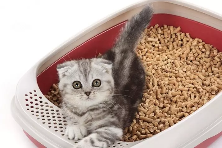 Dřevěné výplň pro kočičí WC (18 fotografií): Jak používat a jak často měnit komerční plnivo pro kočky? Je možné jej umýt v záchodě? Jak si vybrat to nejlepší? Recenze 22590_18