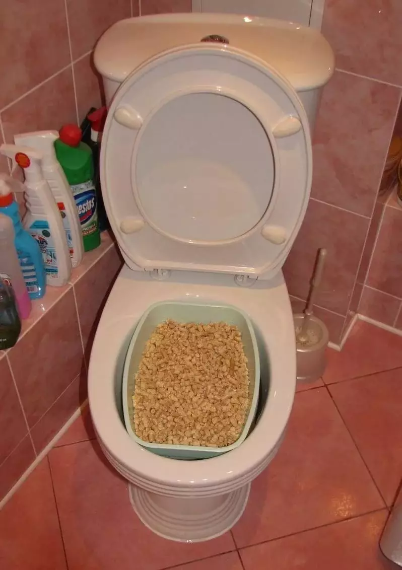 Peddel op het toilet voor katten: variëteiten van nozzles. Hoe een kat te leren om naar het toilet te gaan na het toilet van de kat? 22591_12