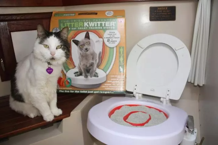 مجداف على المرحاض للقطط: أصناف من الفوهات. كيفية تعليم القط للذهاب إلى المرحاض بعد مرحاض القط؟ 22591_15
