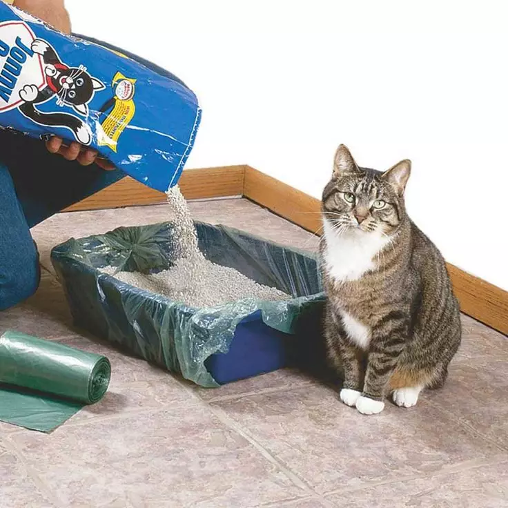Cat Tray (52 foto's): Kies in feline-húske, pakketten en skoften, grutte fan 'e hoeke en oare fariëteiten 22594_48