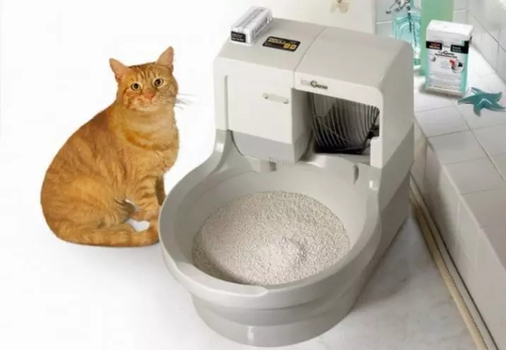 سینی گربه (52 عکس): یک توالت، بسته ها و قاشق ها، اندازه های گوشه و سایر انواع را انتخاب کنید 22594_50
