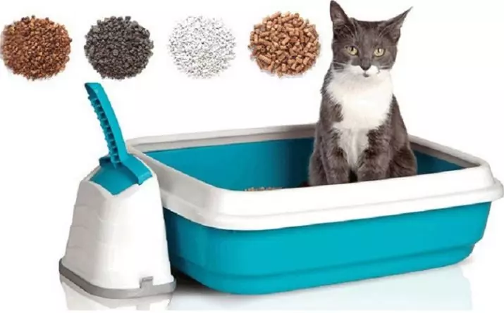 Jaapani feller Cat WC: selle omadused. Kuidas valida kaubanduslik puidu täiteaine kassidele? 22595_12