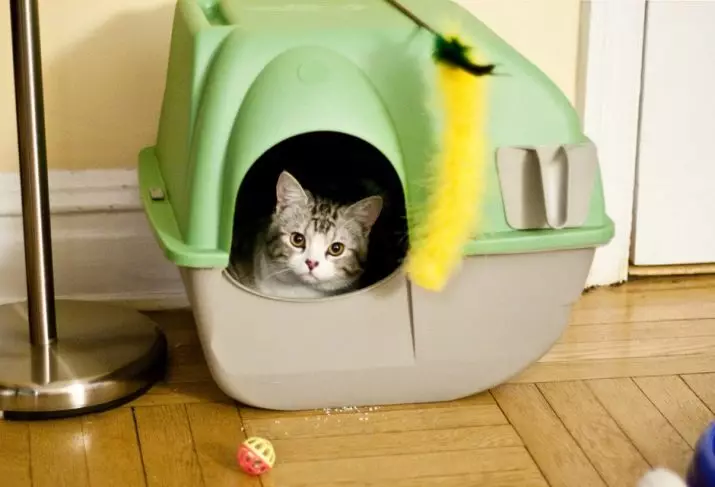 Jaapani feller Cat WC: selle omadused. Kuidas valida kaubanduslik puidu täiteaine kassidele? 22595_3